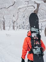 Tabla-Snowboard-Deep-thinker-Multicolor-Burton