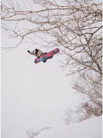 Tabla Snowboard Master board Multicolor Burton