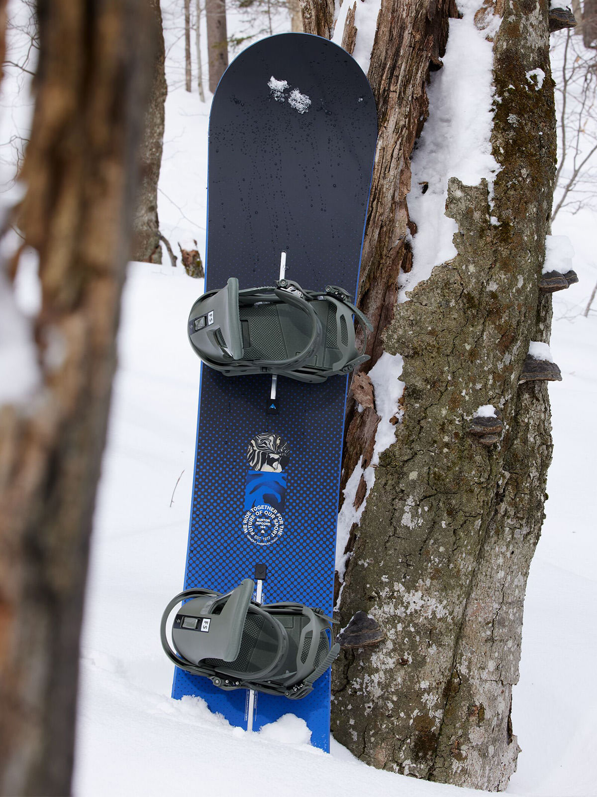 10704108000_R00_3.jpg?v=